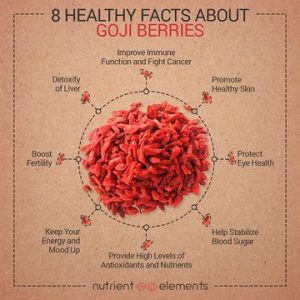 goji berries healthy facts